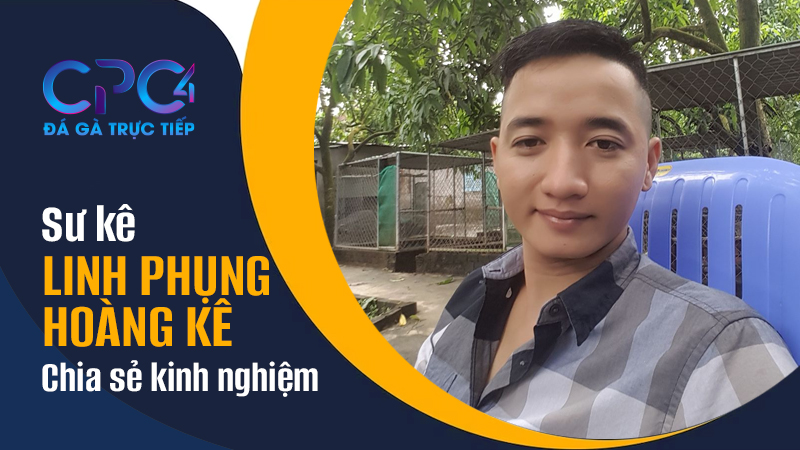 Linh Phụng Hoàng Kê chia sẻ kinh nghiệm xây chuồng trại